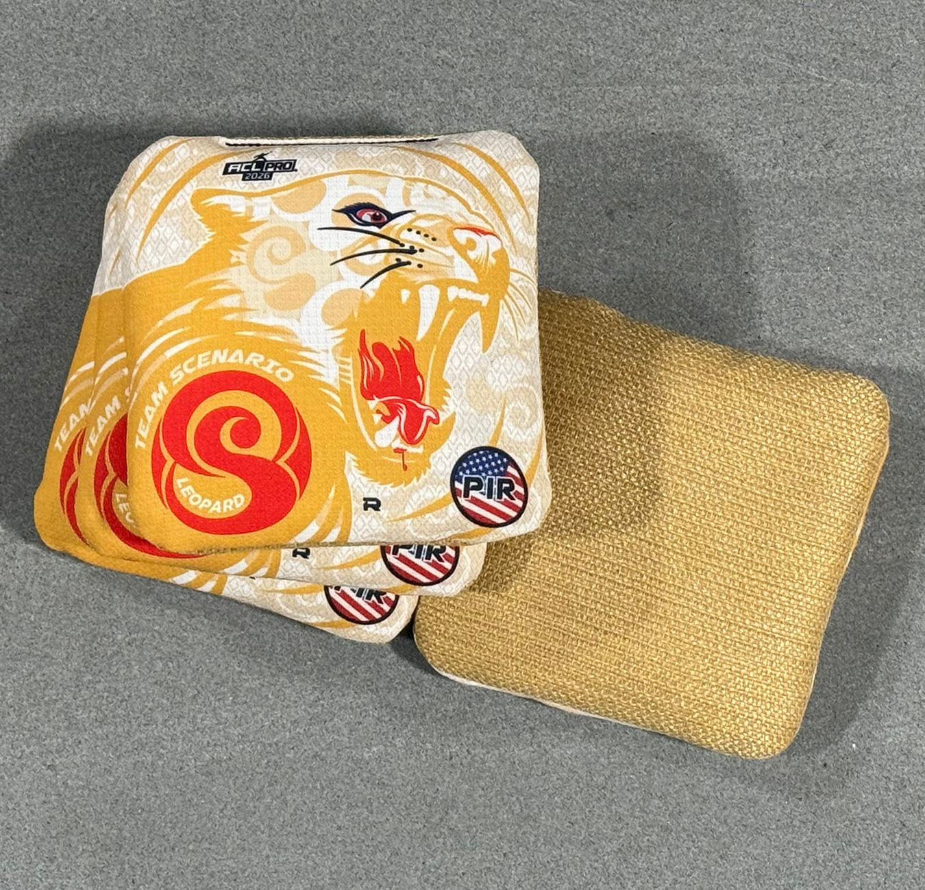 2026 LEOPARD or SIAMESE (R, L or H) - GOLD CS Leopard on Cream