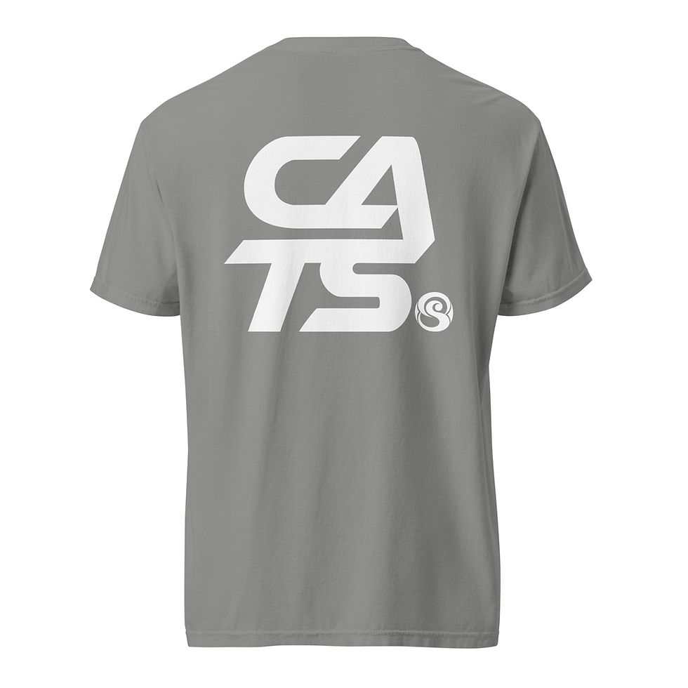 Thumbnail: Unisex garment-dyed heavyweight t-shirt