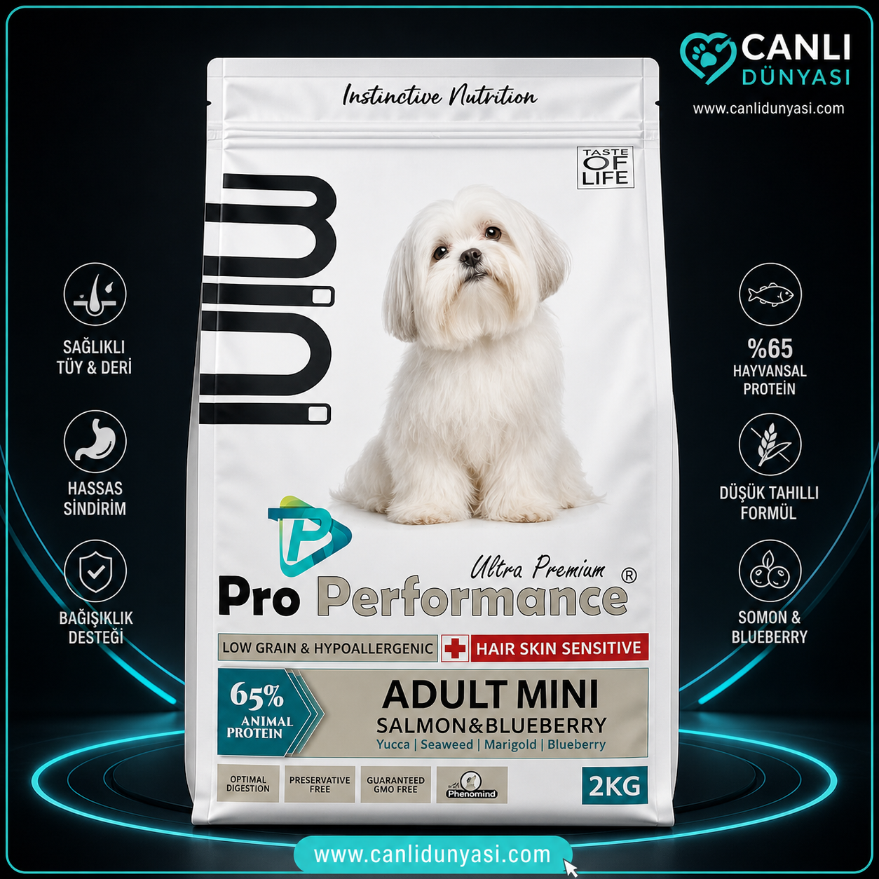 Pro Performance Adult Mini Somonlu & Yaban Mersinli Köpek Maması 2 Kg