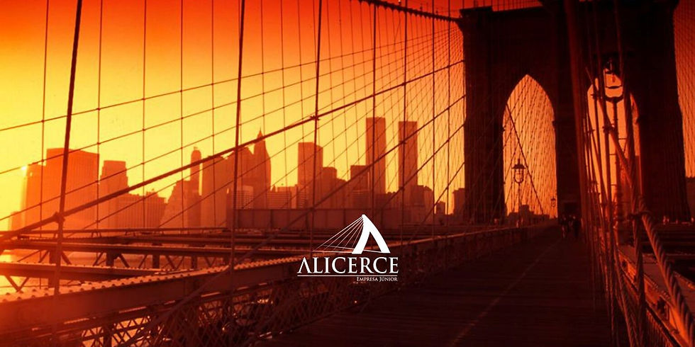 alicerce empresa junior