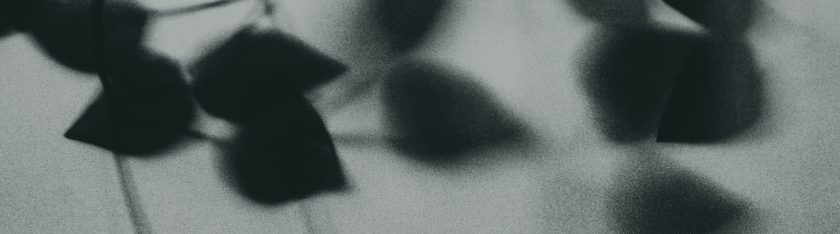 vine-banner-2.jpg