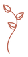 little-vine-2-03.png