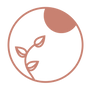 vv-web-icons-07.png