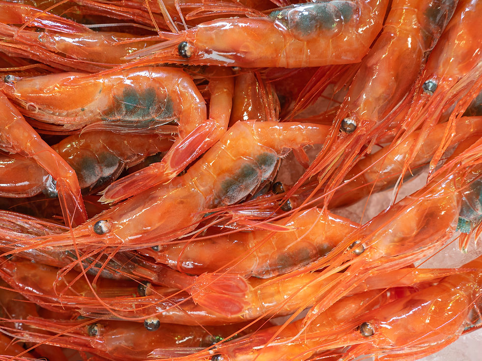 糸魚川02.jpg