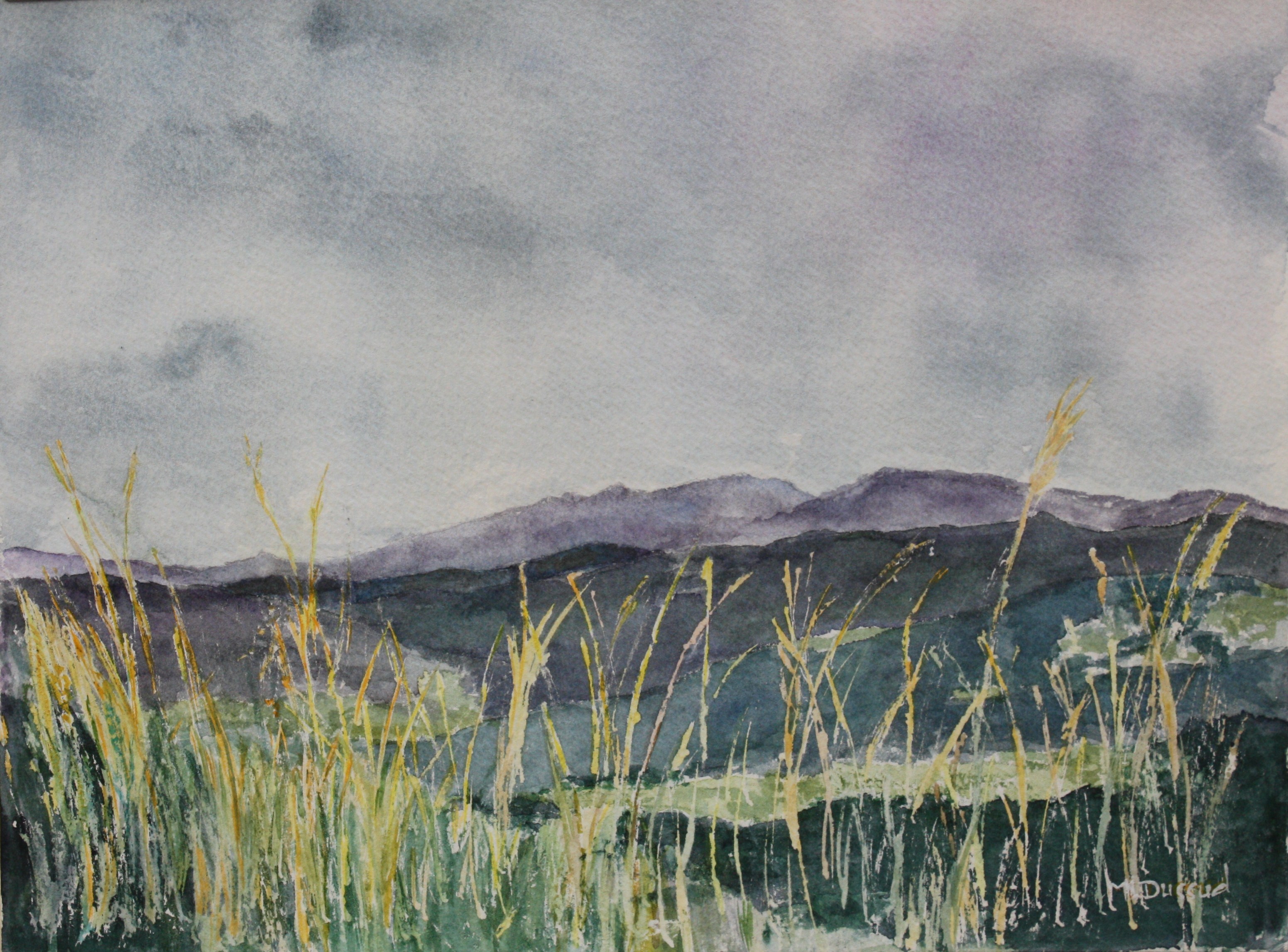 aquarelle