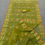 Thumbnail: Kolapata Color Half Silk Jamdani Saree With Blouse Piece