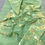 Thumbnail: Greenish Grey color half silk jamdani saree with blouse piece