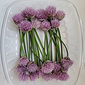 Chive Flowers (25 count).jpeg