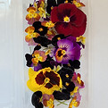 Pansy Blend (25 count).jpeg