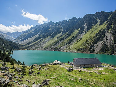 gaube-3.jpg