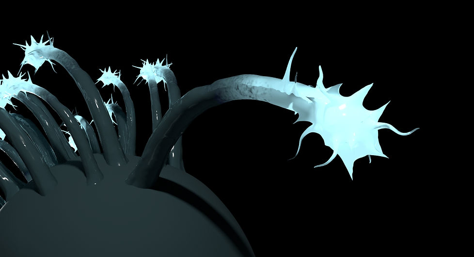 Tentacles Upclose 2.jpg