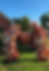 IMG_7911.PNG