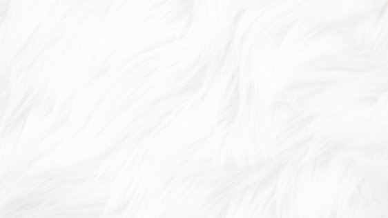 BACKGROUND FOR WEBSITE.png