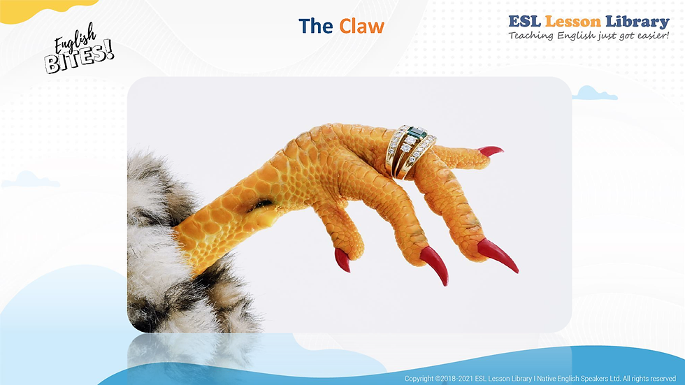 LET'S TALK - THE CLAW