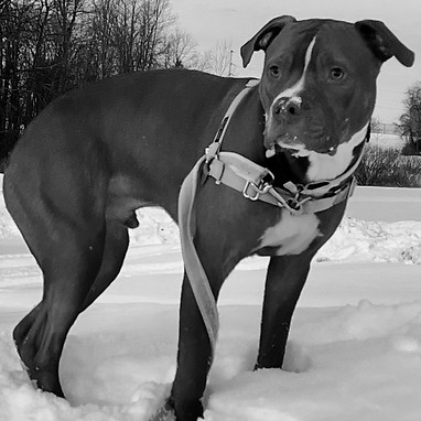 Marcus Aurelius Richmond