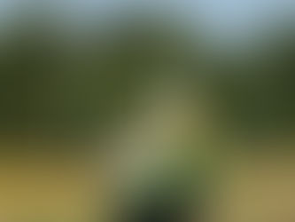 Paul Cookson Memorial Road Race