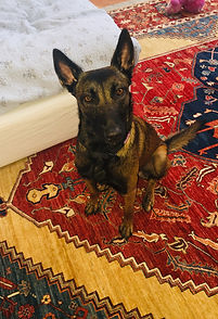 Kala