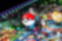 POKEMON PLAYFIELD