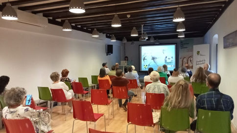 Charla sobre vencejos. Swifts Talk.