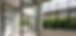 Crittall heritage windows and doors