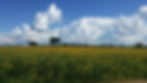 20170520_162922