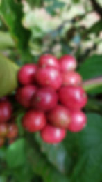 20171109_100954