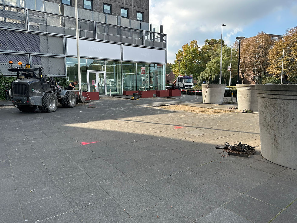 De oude dode bomen zijn er inmiddels ook uit gehaald zodat er mooie nieuwe groene voor terug geplaatst kunnen worden.