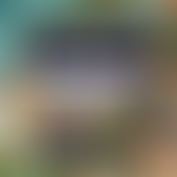 Great Western Trail: New Zealand