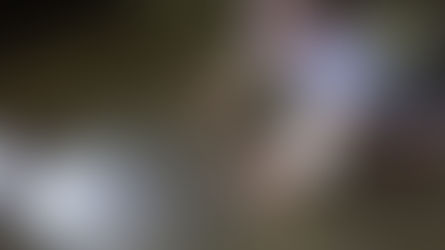 VAMOS A ESTIMULARNOS, ¡¡¡PERO CON LUCES Y SOMBRAS!!!