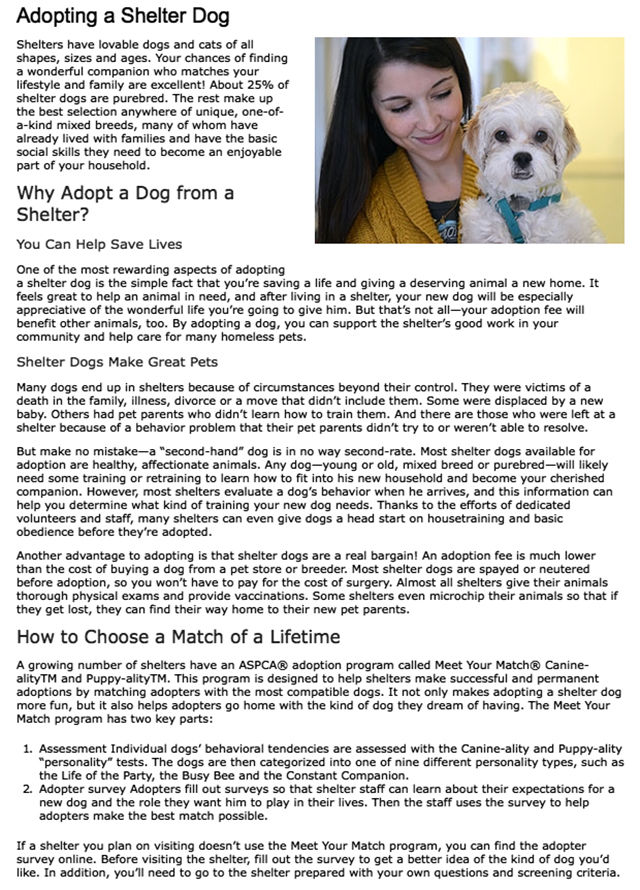 Meet Your Match | adoptions