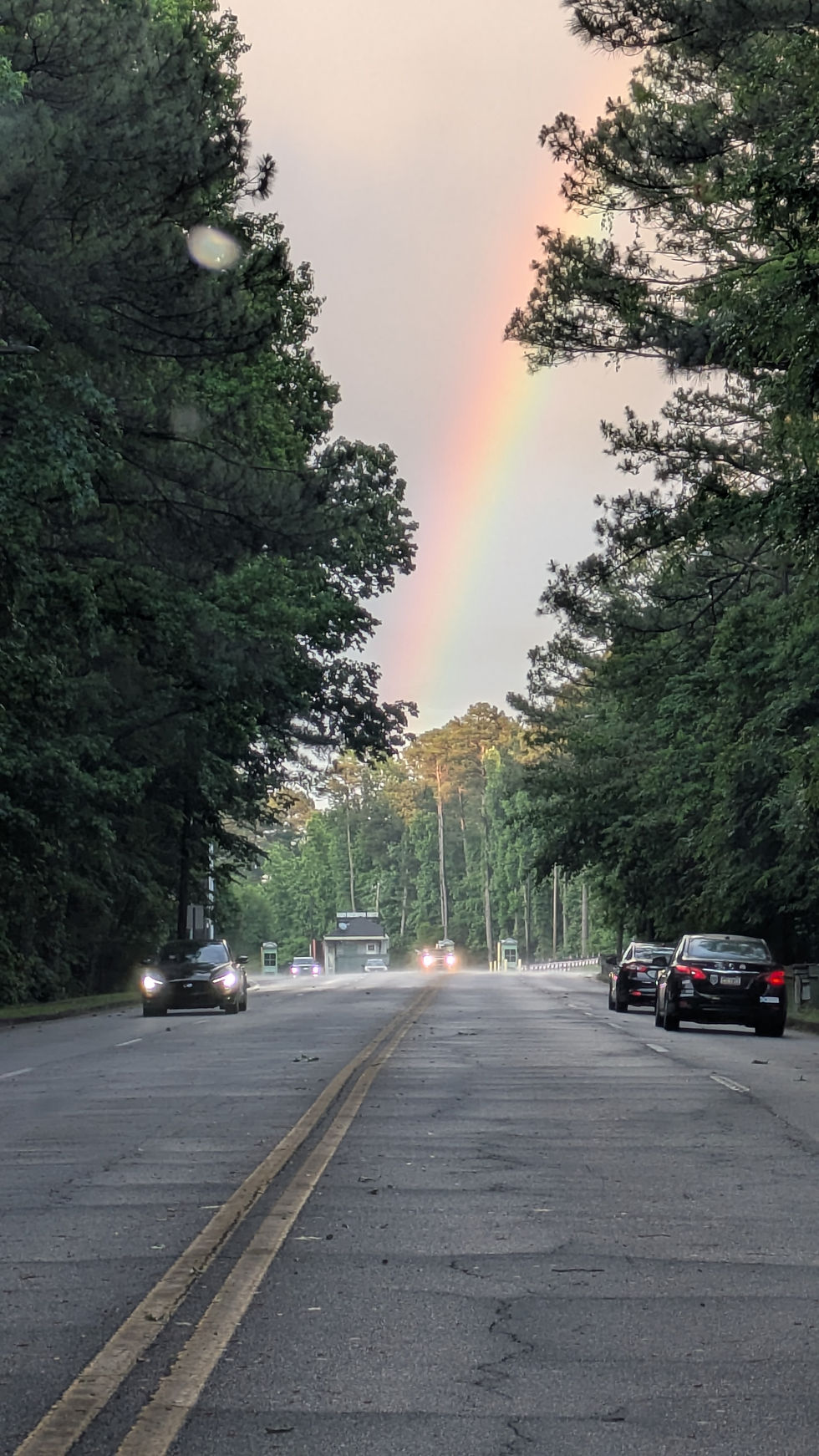 rainbow photo.jpeg