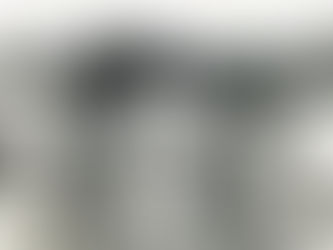 The Baltimore Black Sox, the American Negro League, and the Onset of the Great Depression, 1929-1930