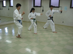 intro35