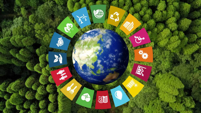 ALIGNED WITH THE UN SDGS
