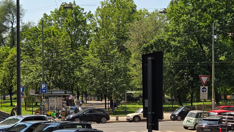Il valore del verde in città: perché ho scelto il mio studio di psicoterapia accanto al Parco Solari