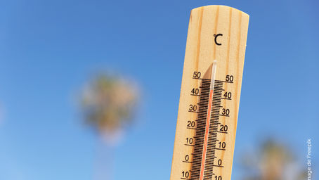 Canicule : Les salariés sont-ils en danger ?