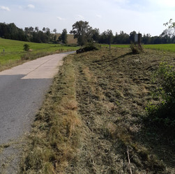 Silnice Vysočina
