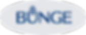 bOUNGE