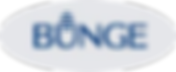 bOUNGE