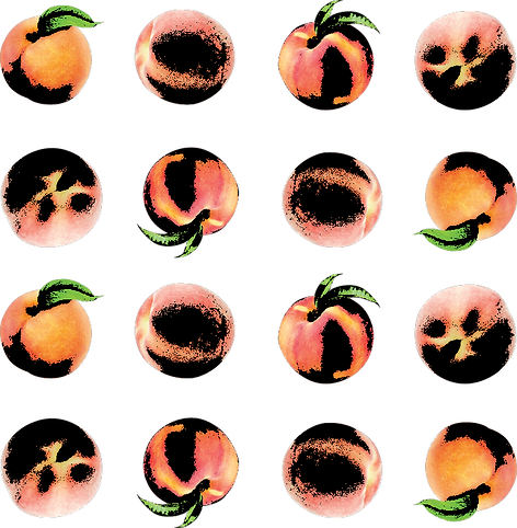 Asset 6asset4.png