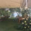 Miniatura: Decoración ceremonia playa
