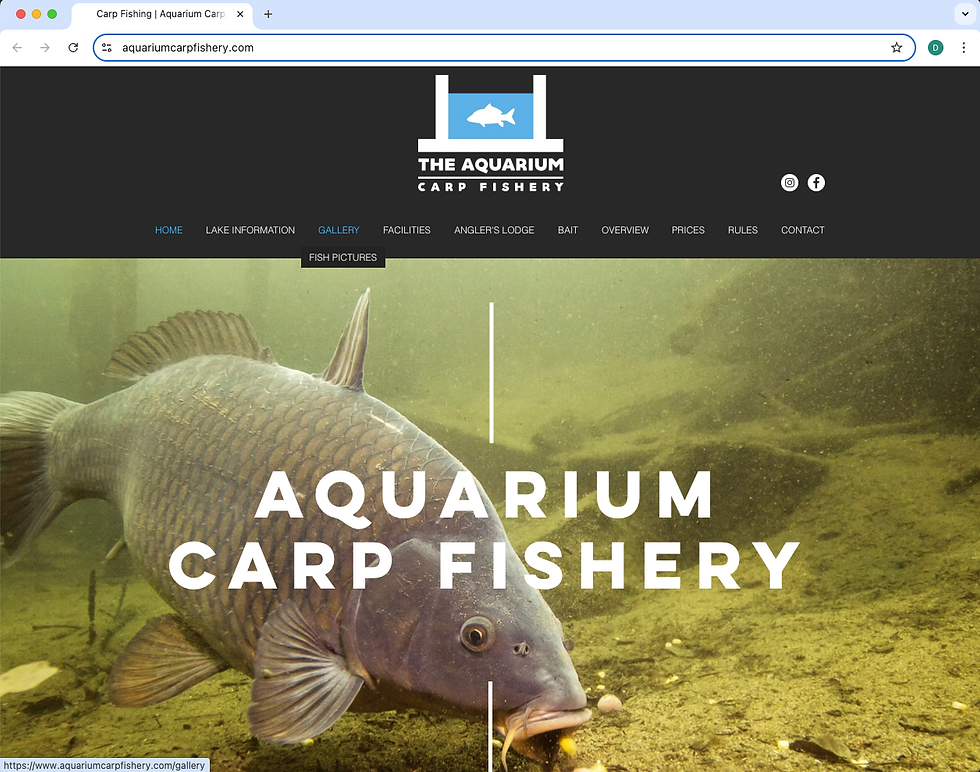 Aquarium Carp Fishery