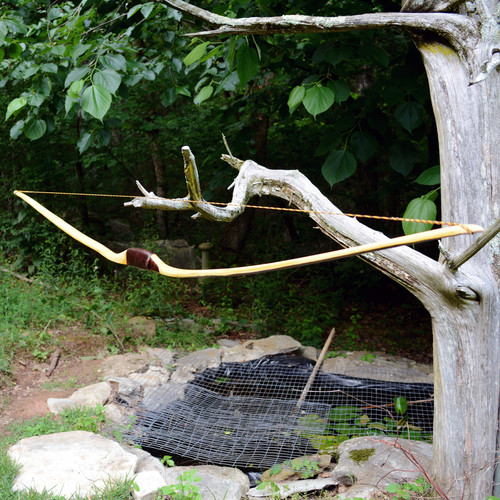 Optimal 17 | Golden Wood Bows