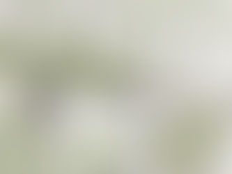 Wettbewerbsgewinne in Naumburg und Ehrenfriedersdorf