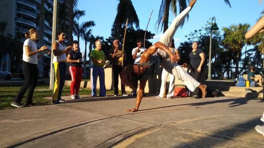 professor-tubarao-roda-miami.jpeg