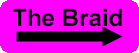 Zipr AI website Braid button