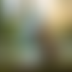 Indurres celebra el Día Mundial del Agua recordando la importancia de su cuidado