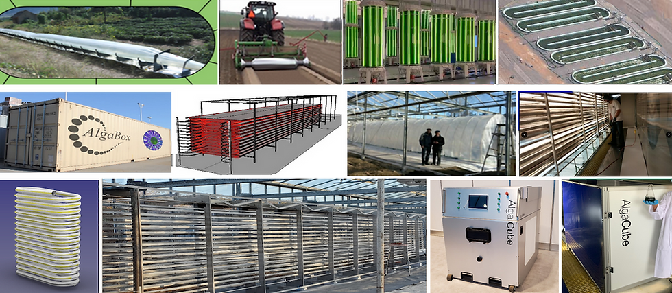Bioreactor Choices - Introduction page to website.png