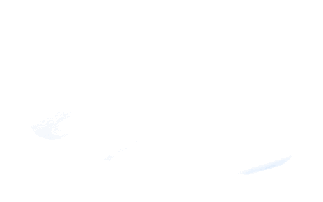 Gif-Inversé-recadré low recadré copie.gif