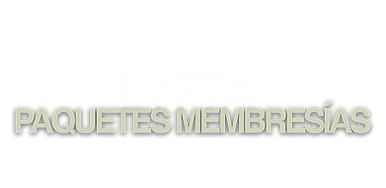 LLLLL.png
